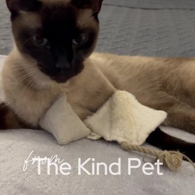 The Kind Pet