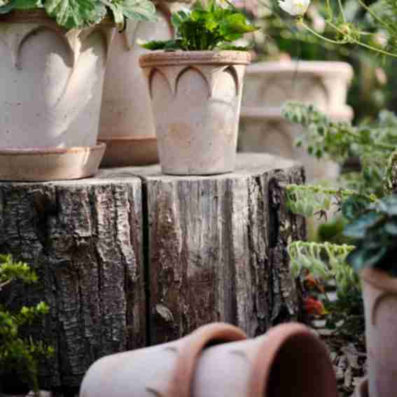 Bast Brothers Garden Center Reviews