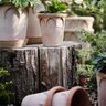 Bast Brothers Garden Center