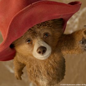 Paddington Bear