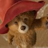 Paddington Bear