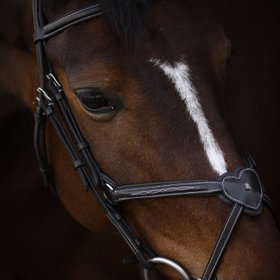 Riviera Equisport