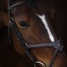 Riviera Equisport
