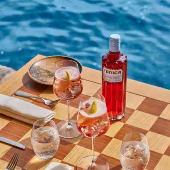 Drink Tanica Reviews