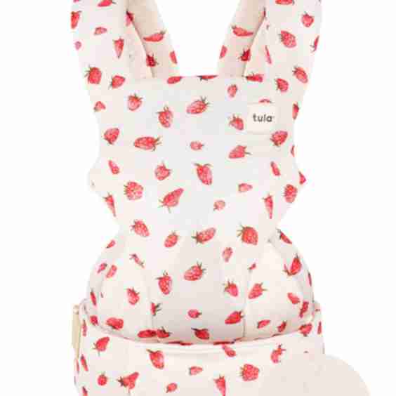 Mesh Explore Baby Carrier