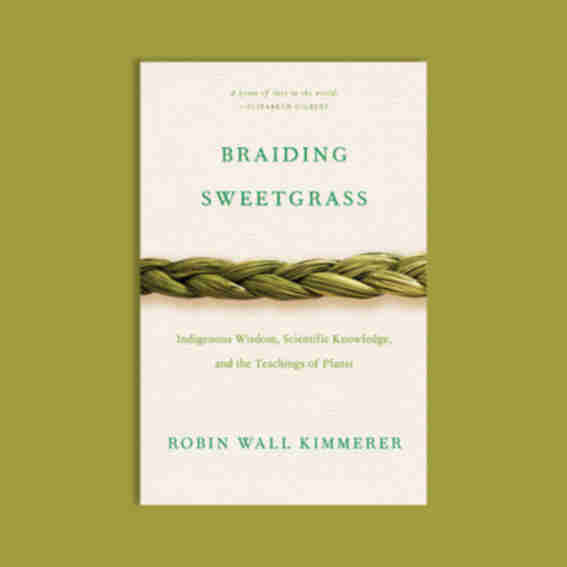 Milkweed Books Reviews