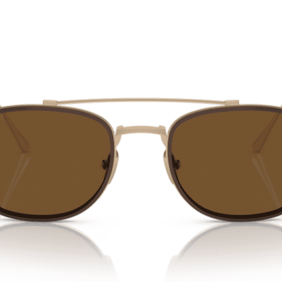 Polarized Lenses