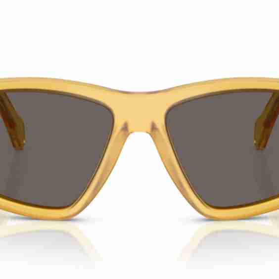 PO0060S Sunglasses