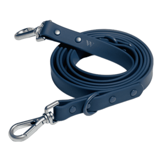 Classic Waterproof Leash