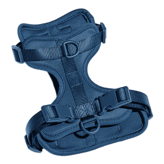 Wild One Harness