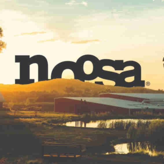 Noosa Reviews