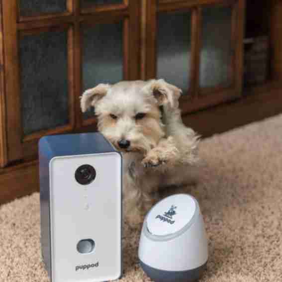 PupPod Reviews