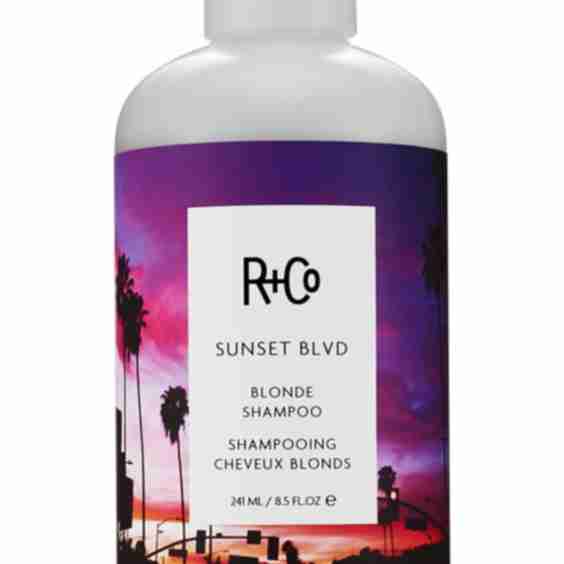 Sunset Blvd Blonde Shampoo