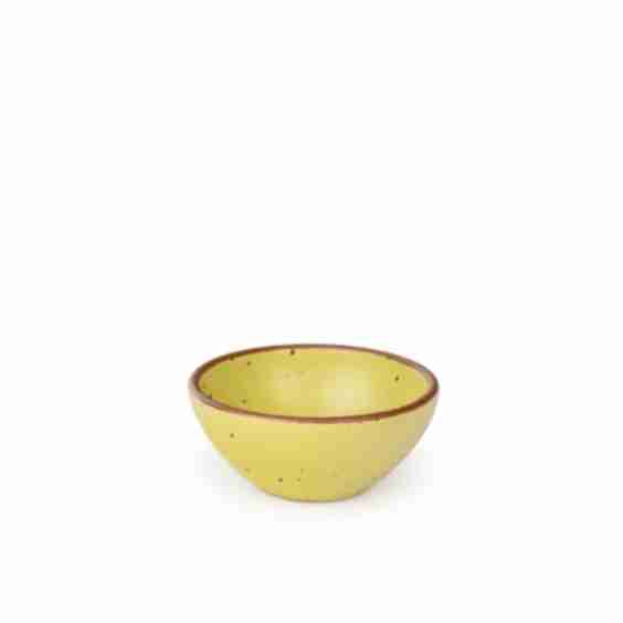 Ice Cream Bowl