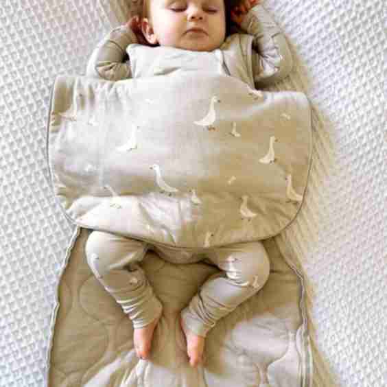 Transitional Swaddle Sack