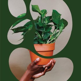 Grounded Plants