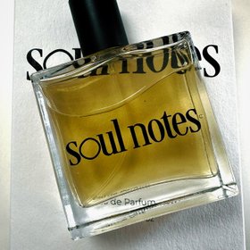Soul Notes