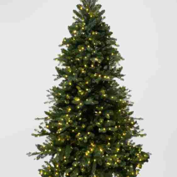 Chesapeake Fir Pre-Lit Christmas Tree with Warm White LED Lights, 7'