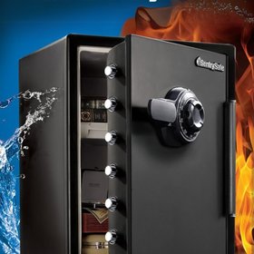 Sentry Safe