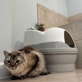 CatGenie