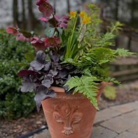 John's Garden Company