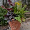 John's Garden Company