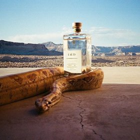 Laud tequila