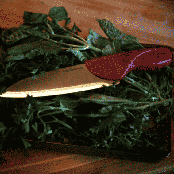 Sole Cookware Reviews