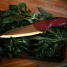 Sole Cookware