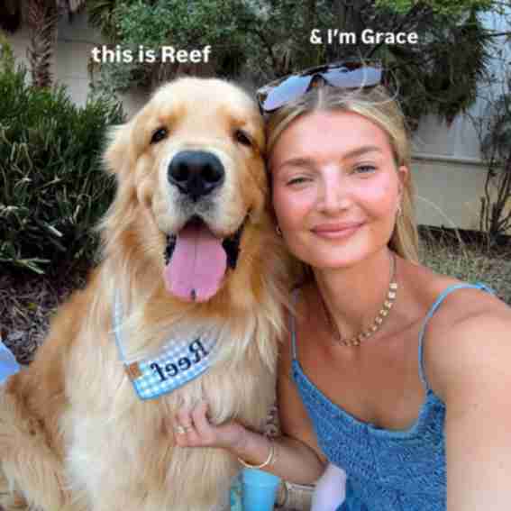Reef the Golden Reviews
