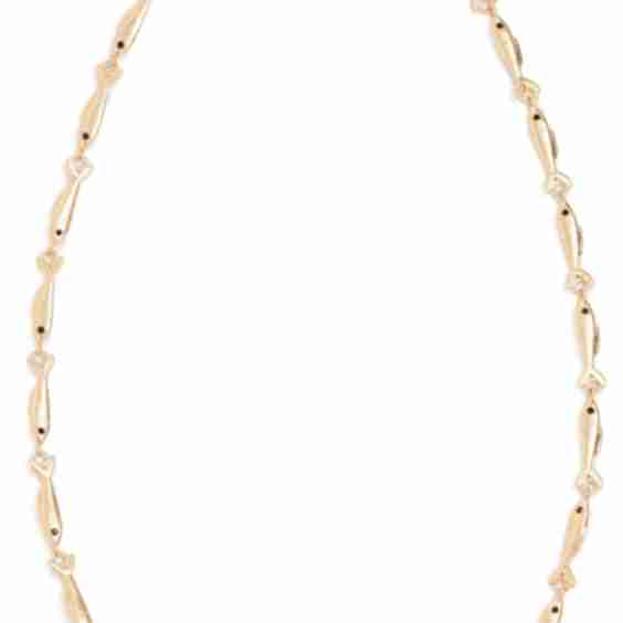 Sardine Chain