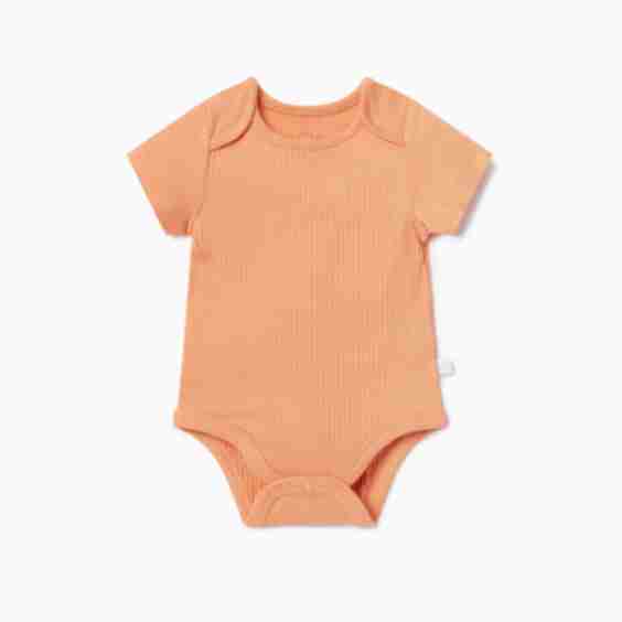 Ribbed Short Sleeve Bodysuit