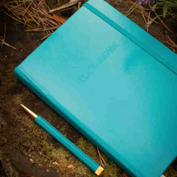 Bullet Journal Reviews