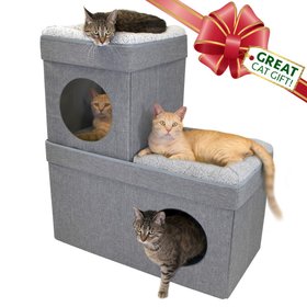 Kitty City