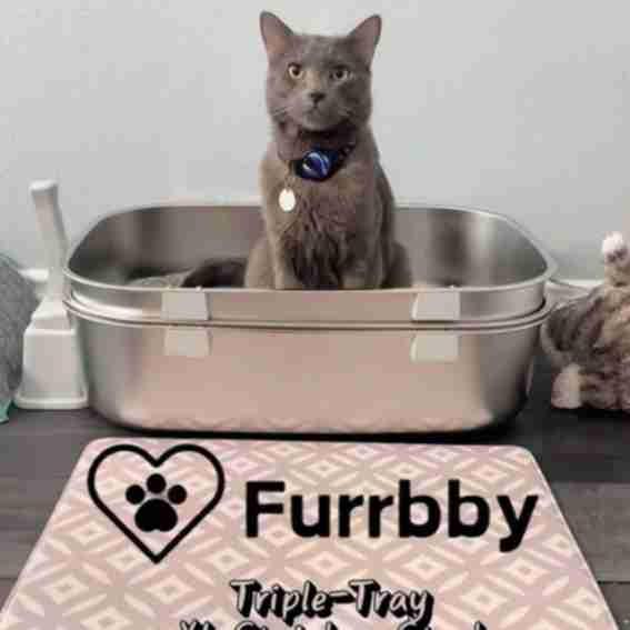 Furrbby Reviews