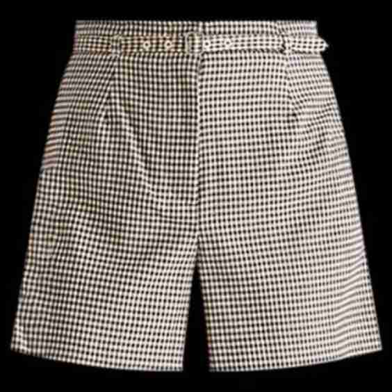 High Rise Belted Short