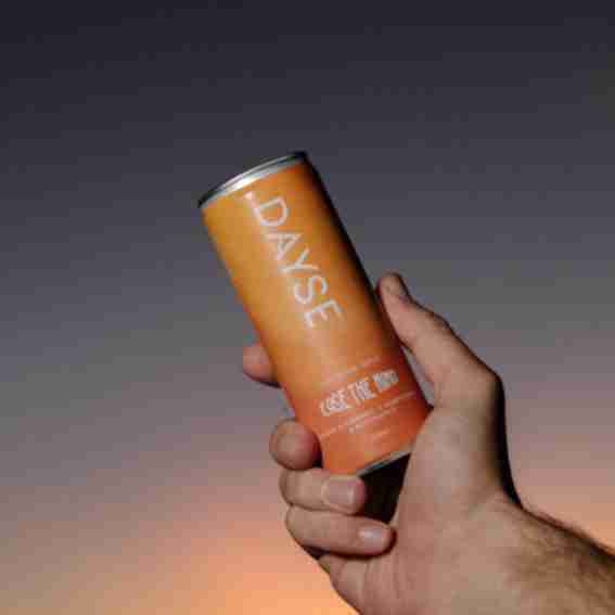 Dayse Reviews