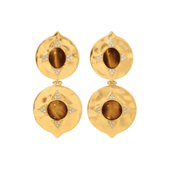 Tigers Eye Coin Earrings