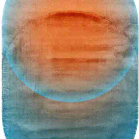 Blue And Red Oval Optical Rug