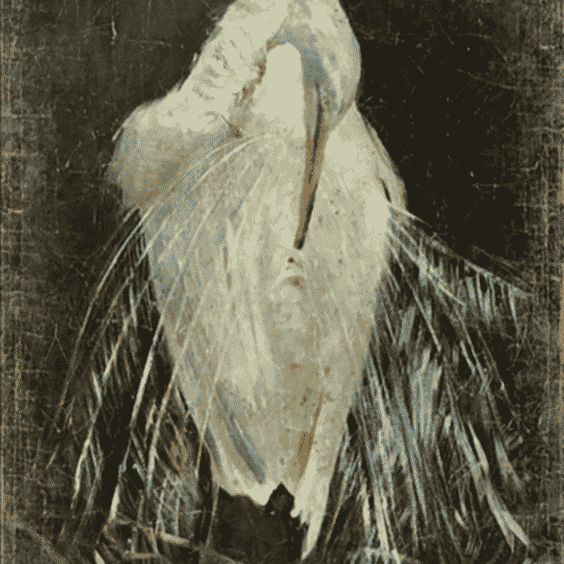 Phoenix Rising Print