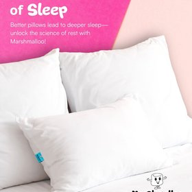 Marshmalloo