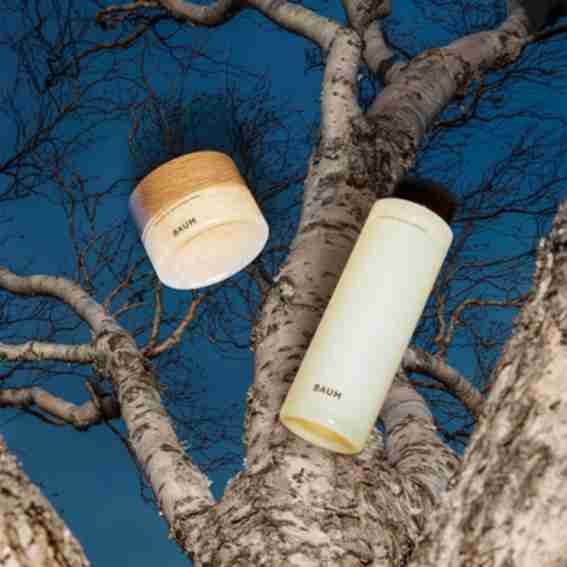 Baum Reviews