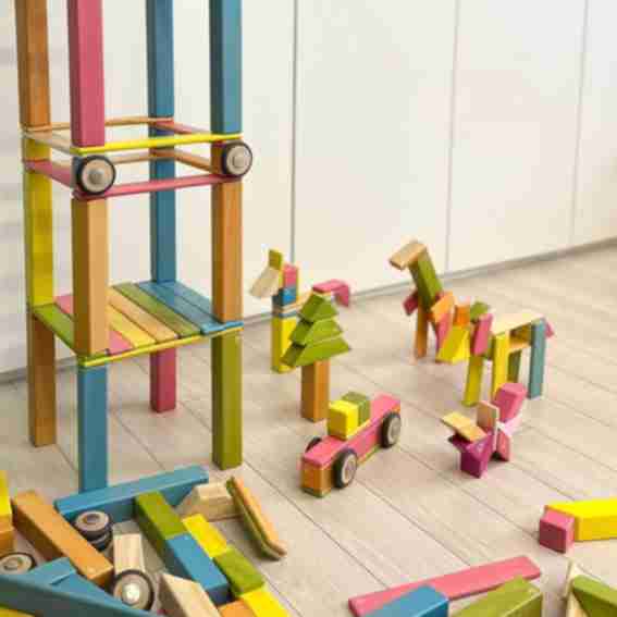 Tegu Reviews