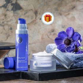 WM BEAUTYSYSTEMS