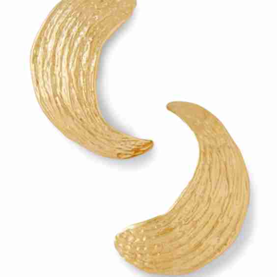 Broken Shell Earrings