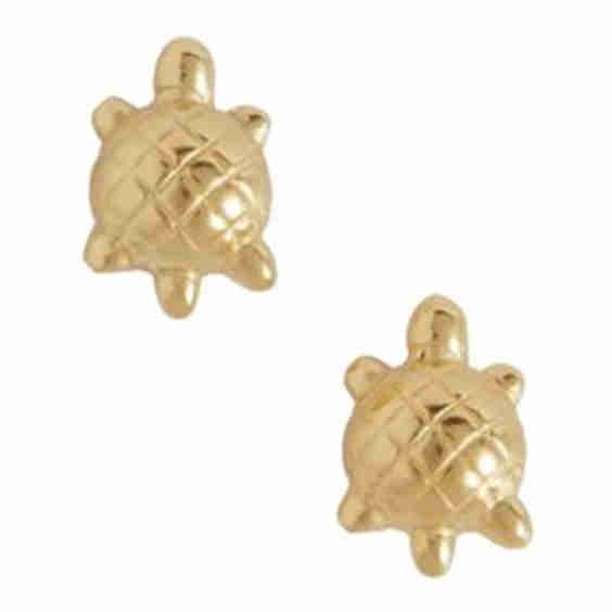 Tiny Turtle Earrings