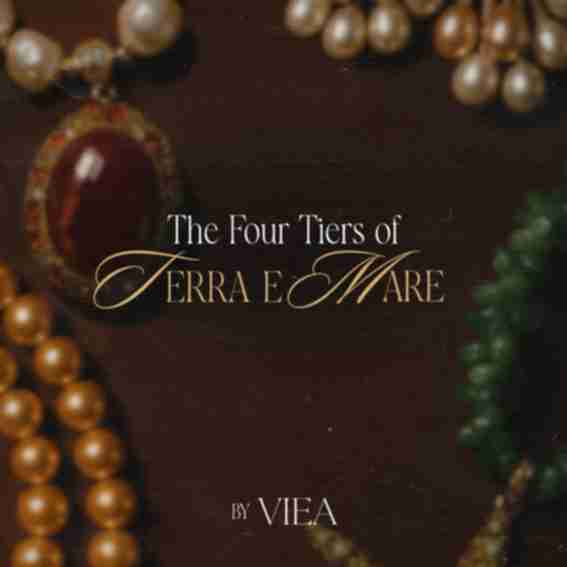 VIEA Reviews