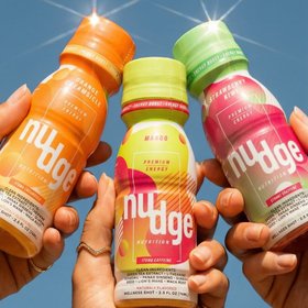 Nudge life