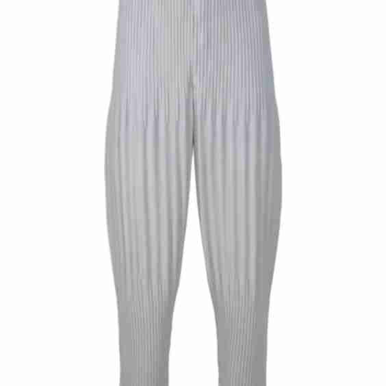 Basics Pants With Eraser Pleats