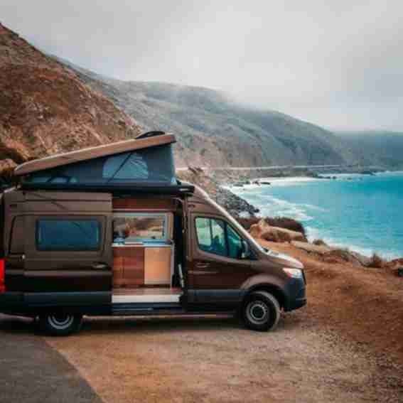 Texino Reviews
